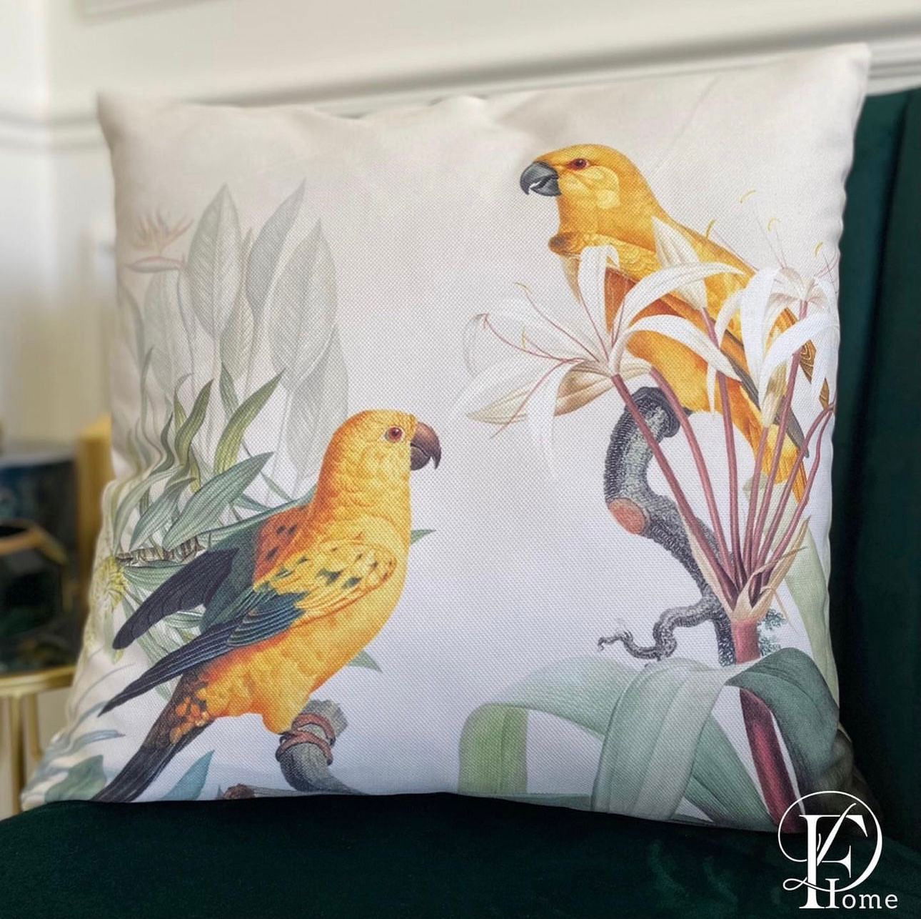 Exotic Parrot Cushion - ObjectsUAE - 